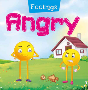 Feelings - Angry Foam Book - Ourkids - Pegasus Books